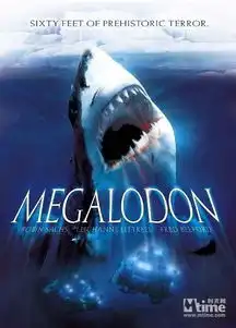 揭秘人鲨大战背后的冷知识
