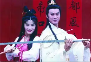 杨丽菁1995年香帅传奇
