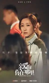 亲爱的,你在哪里秦海璐寻女路漫长催泪
