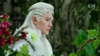 幻城分队破冰兄弟情幻雪神山布迷十面埋伏
