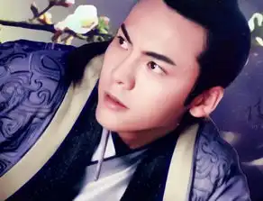 陈伟霆演员歌手no
