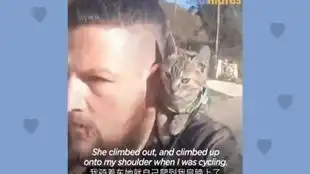 真实改编感人励志电影流浪猫鲍勃,吸毒流浪歌手遇到一只橘猫从此生活发生翻天覆地变化