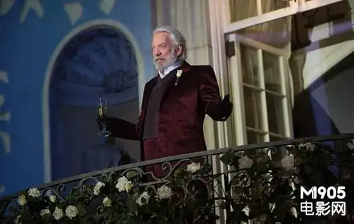 解读饥饿游戏2你看不见的饥饿游戏背后
