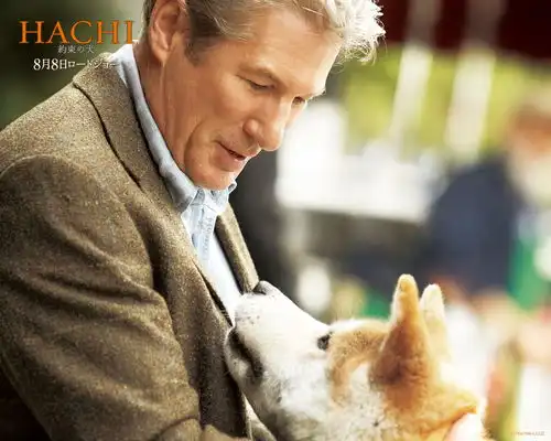 打板小公举8.3疗伤清单,拿走不谢