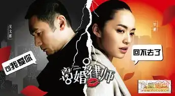 组图中美安迪影视曝光离婚律师9大关系
