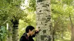 匆匆那年暖心推广曲花开那年
