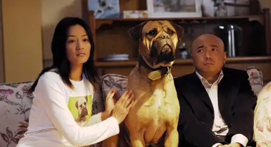 徐峥在电影爱情呼叫转移中剧照
