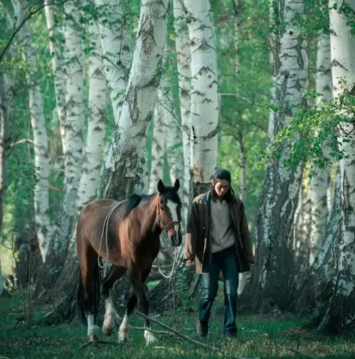 追完我的阿勒泰,再看原著大结局张凤侠是女汉子,李文秀人间清醒
