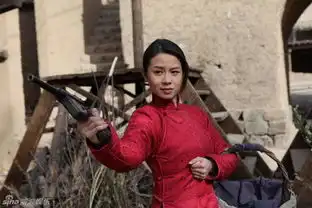 组图平原烽火精彩剧照
