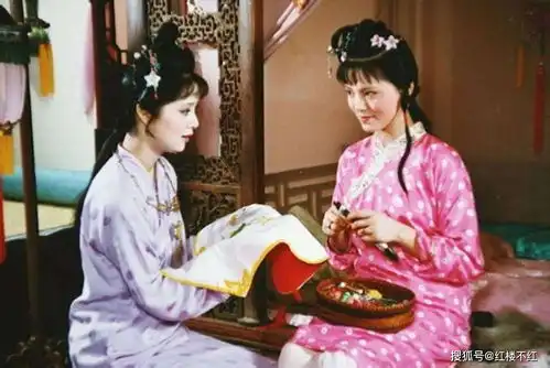 袭人以温柔和顺称道,为何却又削尖了脑袋,想要谋得姨娘的地位