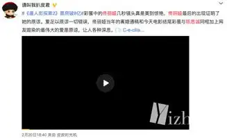 佟丽娅客串唐人街探案2,老公陈思诚感激涕零