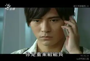 周渝民2008年痞子英雄
