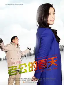 热播电视剧老公的春天平面海报大力刘zcool