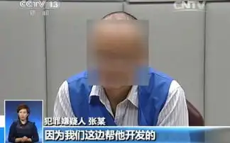 中国版绝命毒师张正波高校化学院副教授开公司制毒