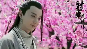 三只小柠檬的观察日记