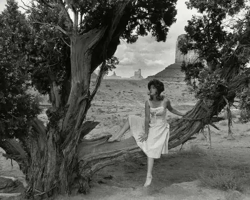 无题电影剧照首映礼