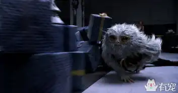 神奇动物在哪里再爆新剧照
