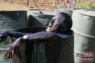 我的珍珠我的港网友质疑团长抄袭
