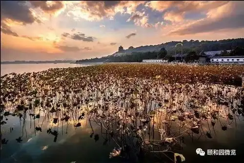 颐和园虚景系列之万象光昭
