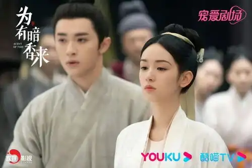 黑马剧的突围之道
