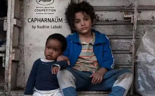 电影何以为家引发哪些深思
