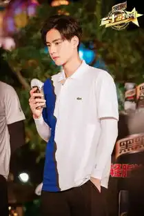 容县迎来一大波明星林志颖余文乐白敬亭林允魏大勋胡一天