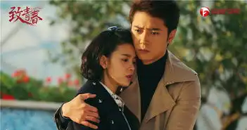 致青春郑微剧照