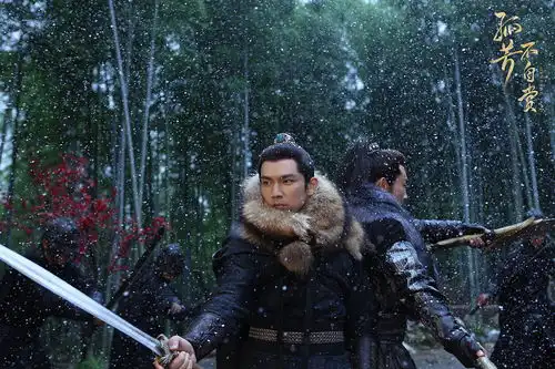 为什么钟汉良的武侠角色都是经典他的武打戏马戏太让人佩服了
