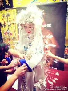 组图钟丽缇白纱京剧新娘装咬自拍唇眼神妩媚
