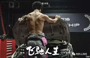 影向标走神飞驰人生