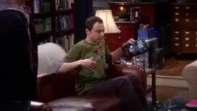 谢尔顿我需要一份低贱的工作,像你这样的
