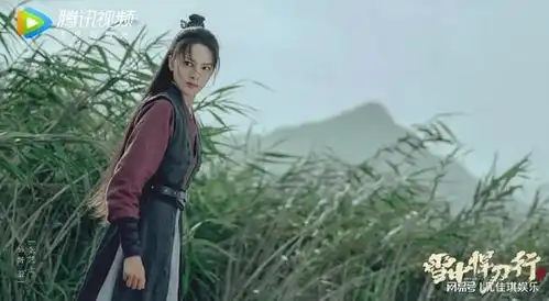 雪中悍刀行角色出彩度排名,姜泥一言难尽,青鸟好评不断
