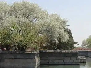 颐和园近期消息清晏舫靓丽喜人杜梨含苞20140404图片
