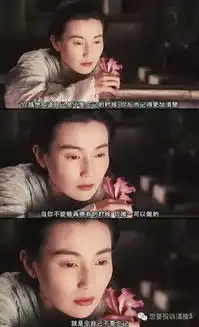 与东成西就大不同的是东邪西毒