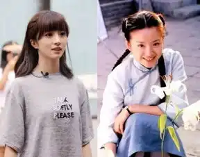 娱乐圈中长得像的女明星,董洁胡冰卿,最后一对双胞胎
