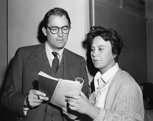 杀死一只知更鸟
