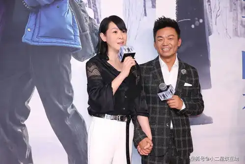 王宝强和刘若英的关系,不似友情却胜似亲情,网友感叹藏得够深啊
