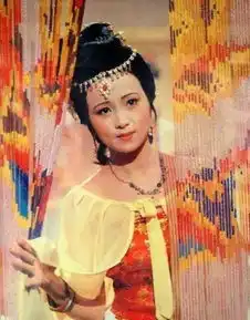 秦可卿死后,贾珍做了一件越制的事,害苦了贾家
