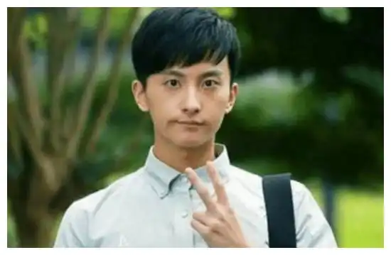家有儿女这部剧中藏了多少巨星杨紫张一山成一线,他也火了
