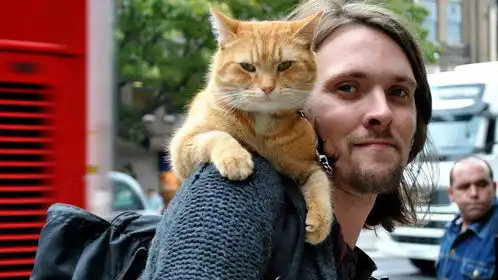 时光新闻让电影遇见生活