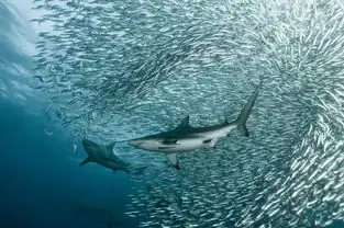 生命脉动官方剧照