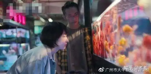 少年的你票房破11亿校园暴力引人深思内含视频