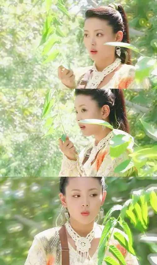 又在看老剧楚留香传奇,都不只是红白玫瑰了,简直...