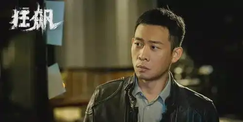 彻底分道扬镳tvb版狂飙演员表没有张译,张颂文占据海报c位
