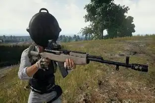 和平精英武器盘点,m416只排第二,第一竟然是它