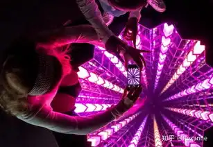 12月去美国旅行有哪些建议及攻略