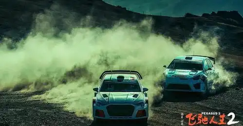 飞驰2不为人知的细节现实中的领航员到底有多牛