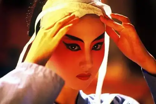 刘亦菲,你凭什么演花木兰
