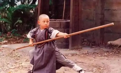 4岁与李连杰齐名,5岁红遍亚洲被誉为成龙接班人,当年最火功夫小子现在如何了
