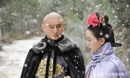 当年爆的不是宫吗,为什么都在说步步惊心
